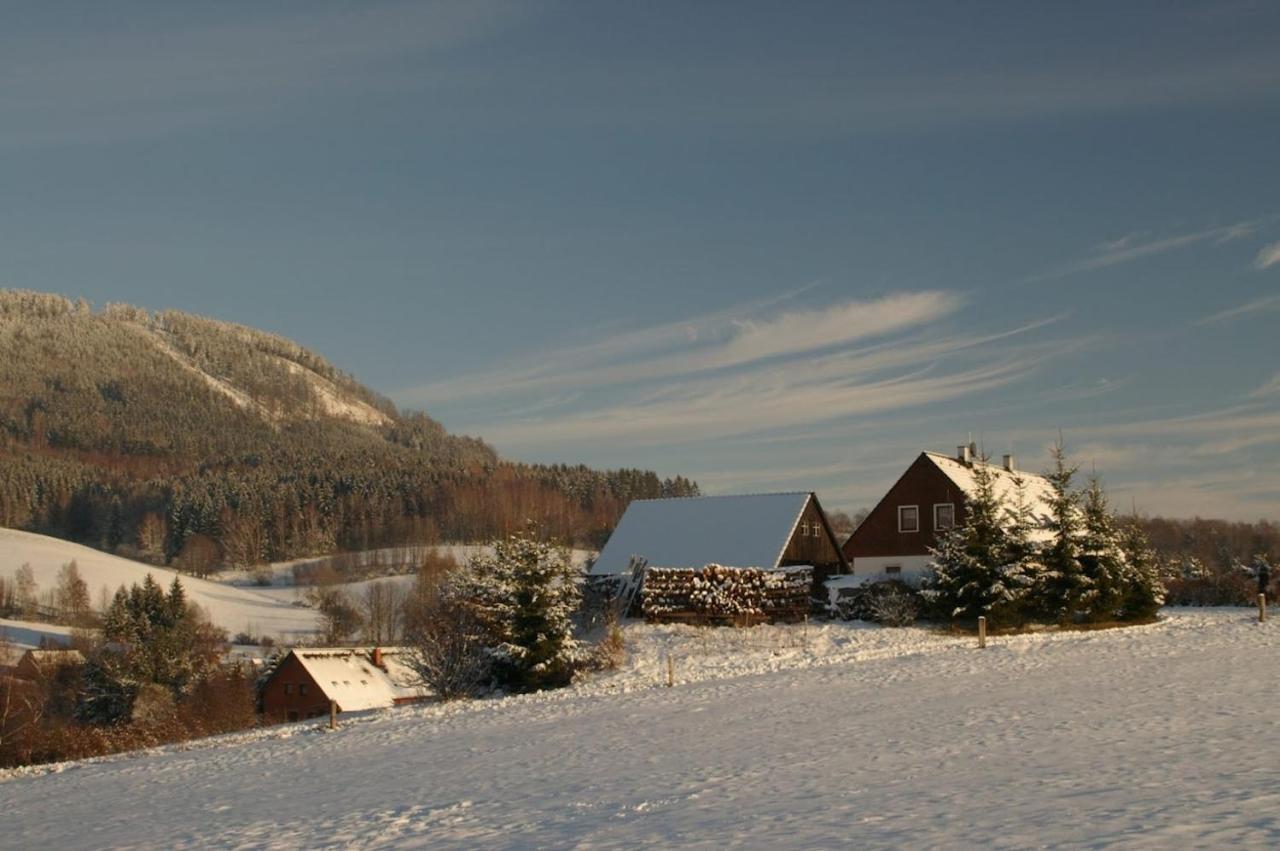 Apartman V Chaloupce Na Vrsku Bernartice  Экстерьер фото